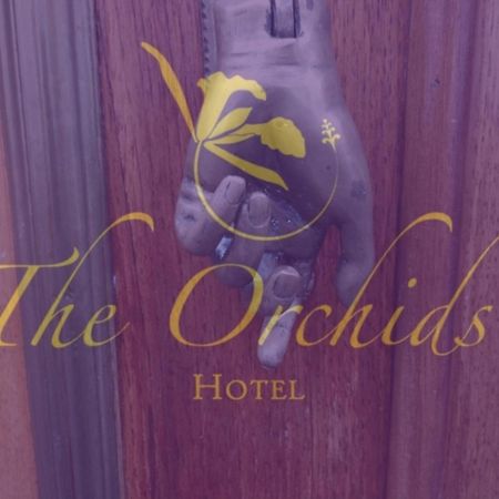 Hotel The Orchids Bogotá Zewnętrze zdjęcie